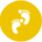˾